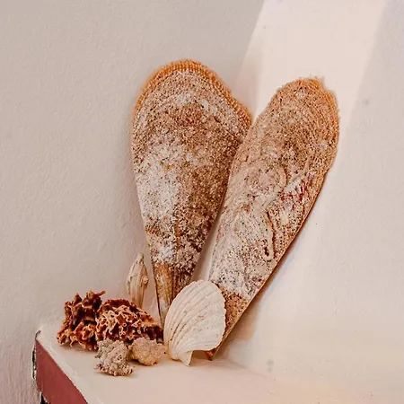 Seaside Vinka * Vela Luka