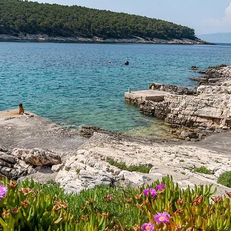 Seaside Vinka Vela Luka