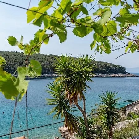 Vikendica Seaside Vinka