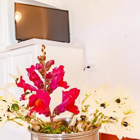 Seaside Vinka Vikendica Vela Luka