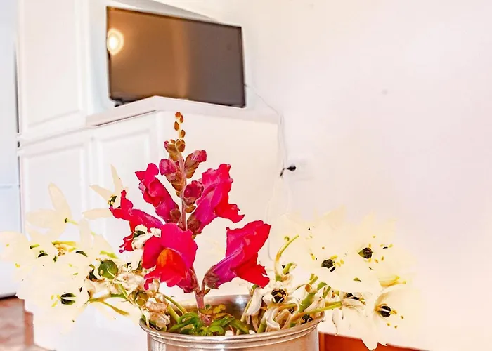 Seaside Vinka Holiday home Vela Luka